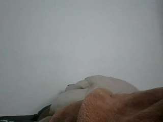 cocolefeme