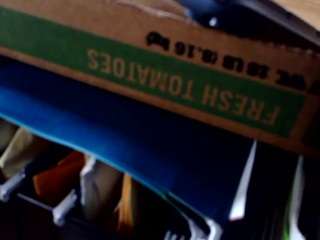 crimsontidebroke... Live Webcam on CamSoda