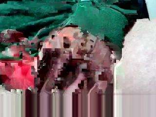 crimsontidebrokerage