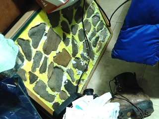 crimsontideBrokerage