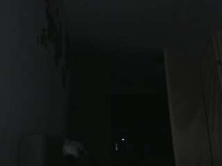 emmawise
