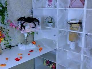 zelmakukla webcam
