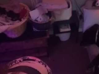 goddessmissmia Strip live webcam