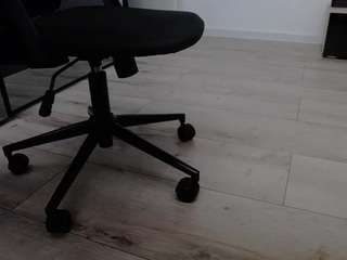 dravenpeak Live Webcam on CamSoda