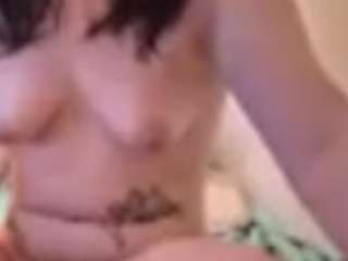 littlesnowbnny