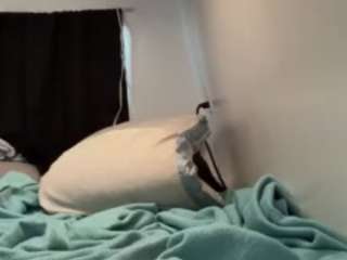 littlesnowbnny