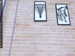 abbey-walker webcam