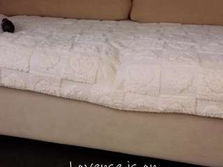 dianacarriere live cam profile