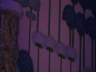 hedyfrawkin's CamSoda show and profile