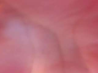 zoeevansg