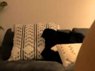 lanzybloom Live Webcam on CamSoda