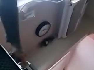 unbrella webcam
