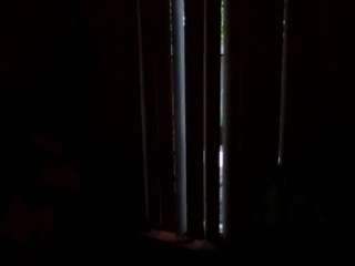 unbrella Sex Cam Show