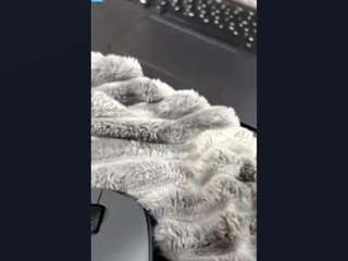 charlesettalantelme