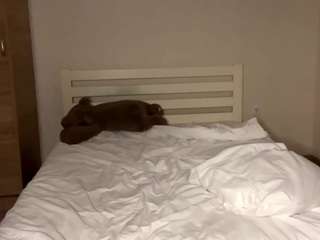 miguelinabriscoe webcam