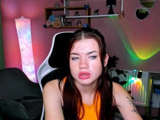 niri-vex webcam model