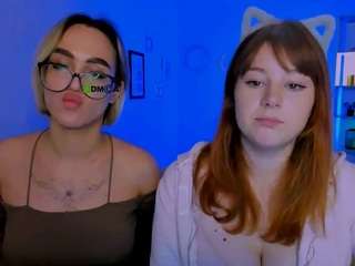 niri-vex webcam model