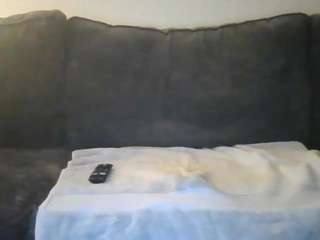 gr3yman87 webcam model