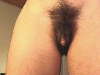 Hairyparadise