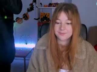 kira-neko webcam