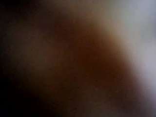blackcatu webcam