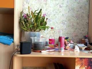 juliandyches's CamSoda show and profile