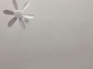 vyper121