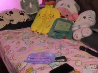 heytati webcam