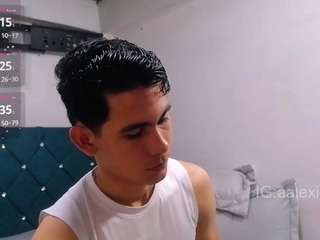 romantic-lab webcam model