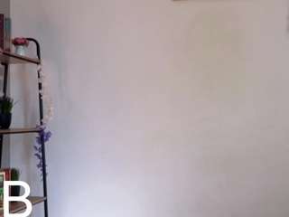 sue-holland's live room