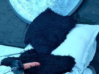 lizzyolsen