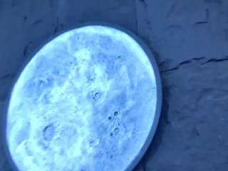 LizzyOlsen