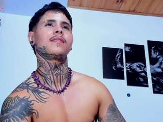 stefantransman webcam