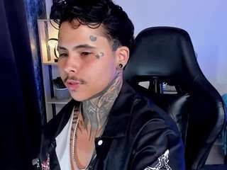 stefantransman webcam