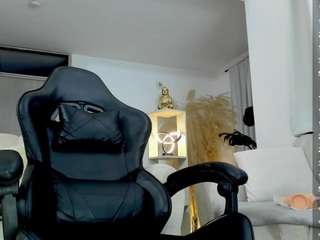 stefantransman