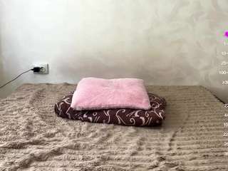 viki42