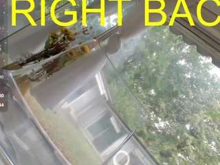 Ella-Vee live cam preview