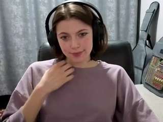 leesaft webcam