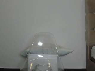 selenemakris webcam