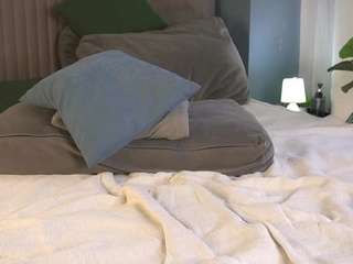 velmafahlsing webcam