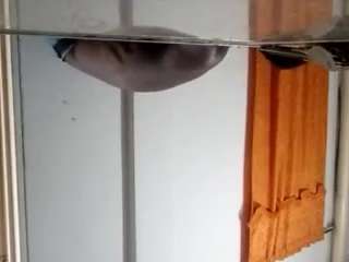 panteranegra0115 Live Webcam on CamSoda