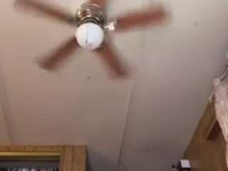 96dconnell Live Webcam on CamSoda