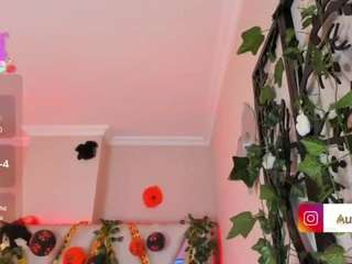 aurora-brown webcam model