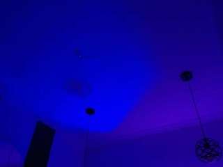 amaradavis Live Webcam on CamSoda