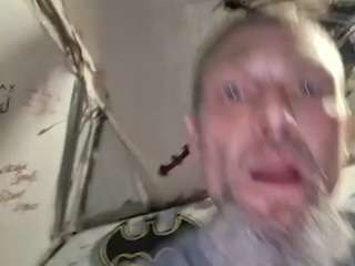 blondetiger
