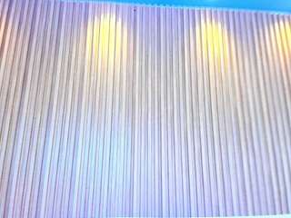 sofiapalacios webcam