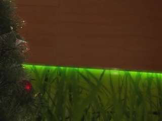 gaynellharoutunian webcam