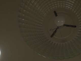 gaynellharoutunian webcam