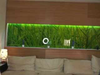 gaynellharoutuni... Live Webcam on CamSoda