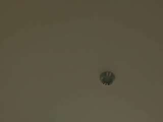 gaynellharoutunian webcam